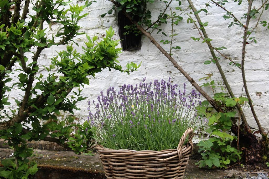 Le Neblon Insolite Vila Ouffet Exterior foto